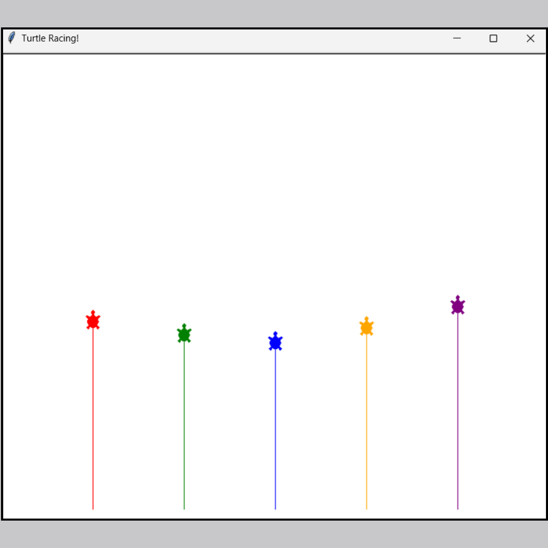 A turtle racing game built by a student in Python